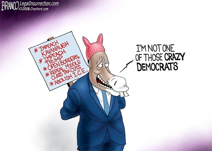 'Hey you, Crazy Democrat!'